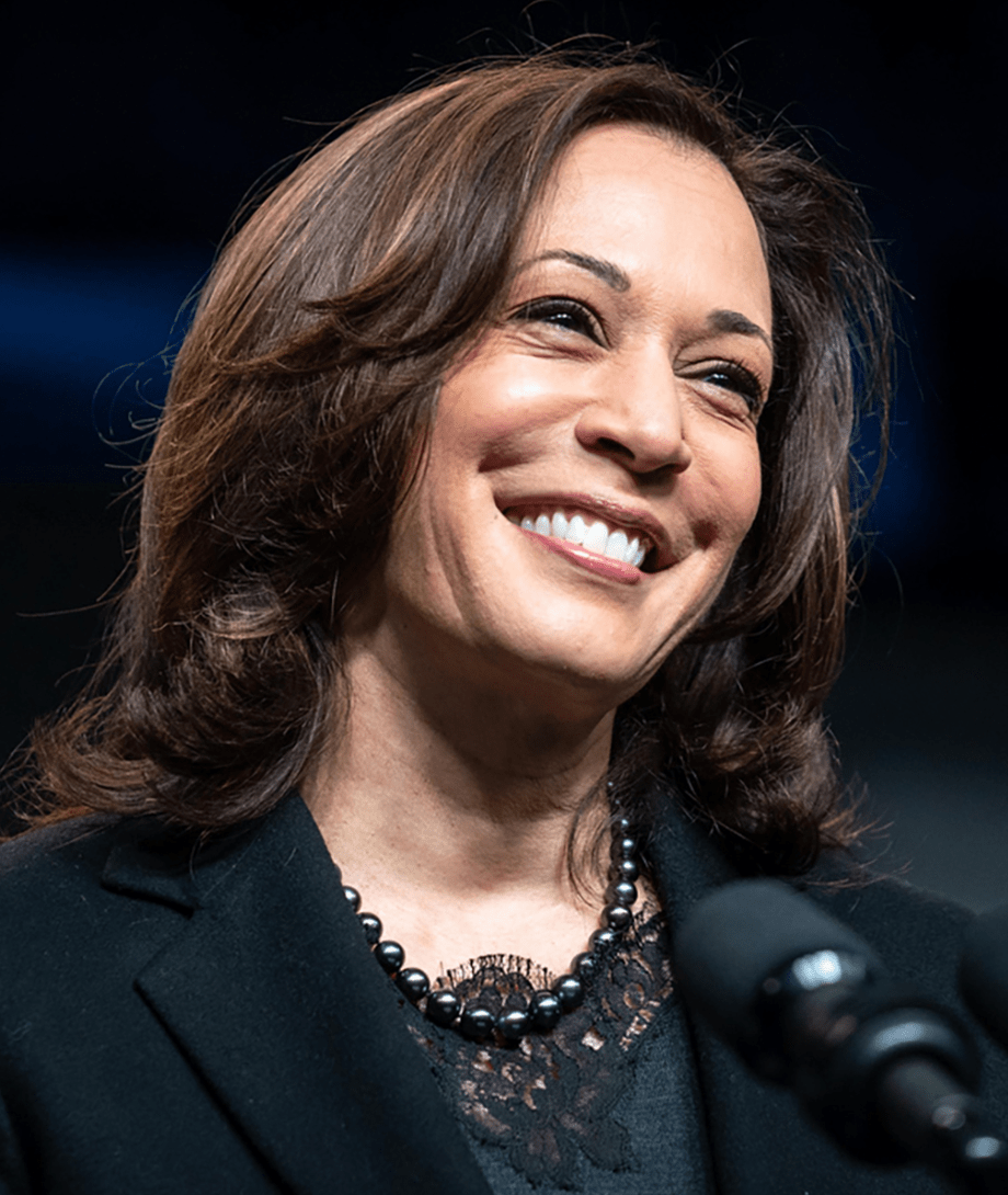 DIREITA BRASILEIRA CONTRA KAMALA&nbsp;HARRIS