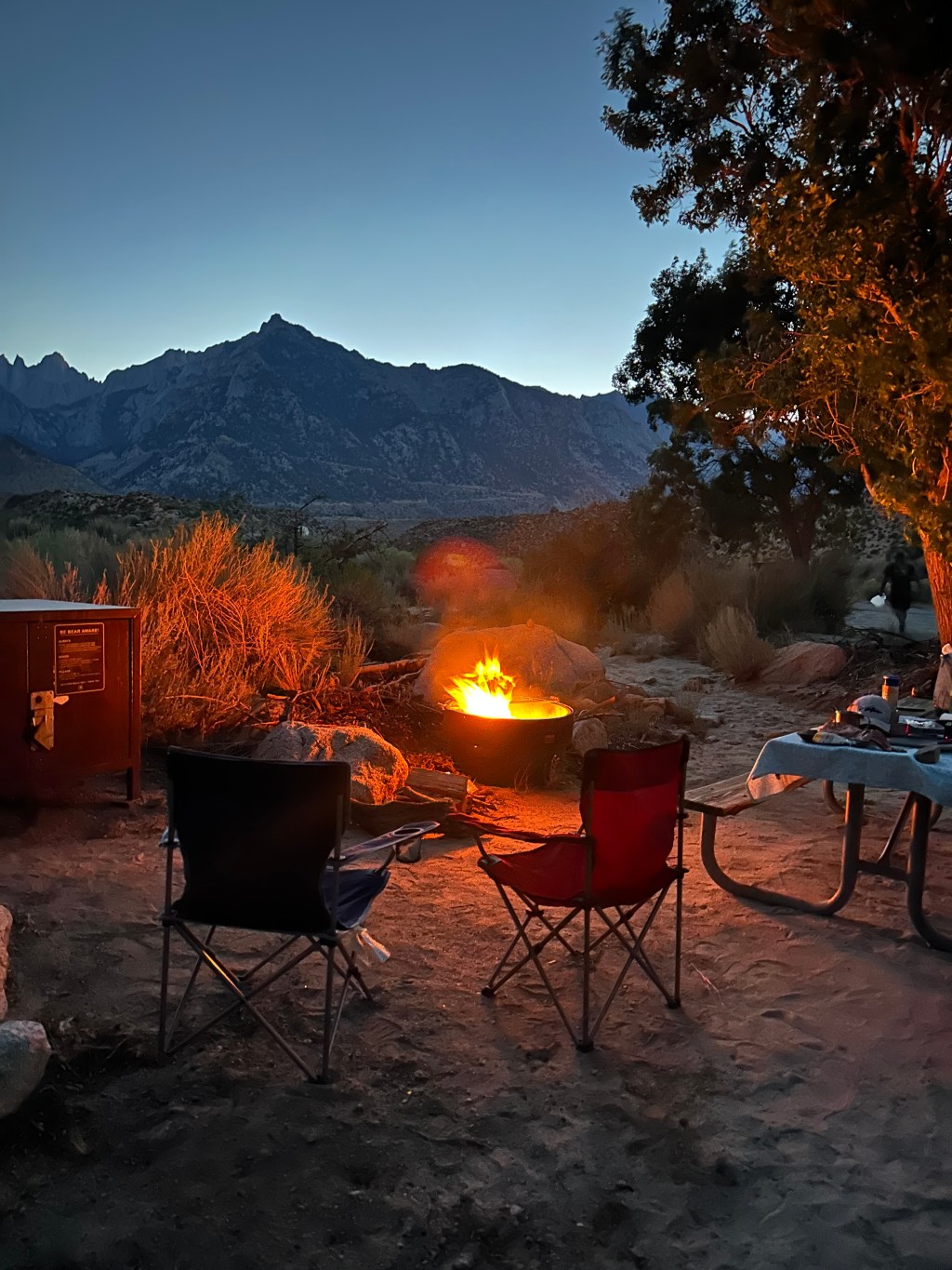 FEDIDA E DESCONECTADA