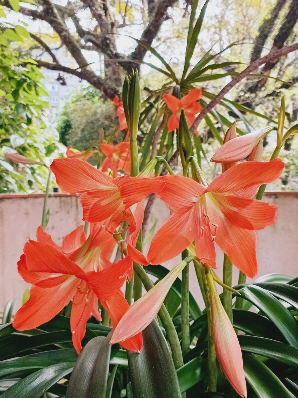 5 MESES QUE VALERAM 5&nbsp;ANOS