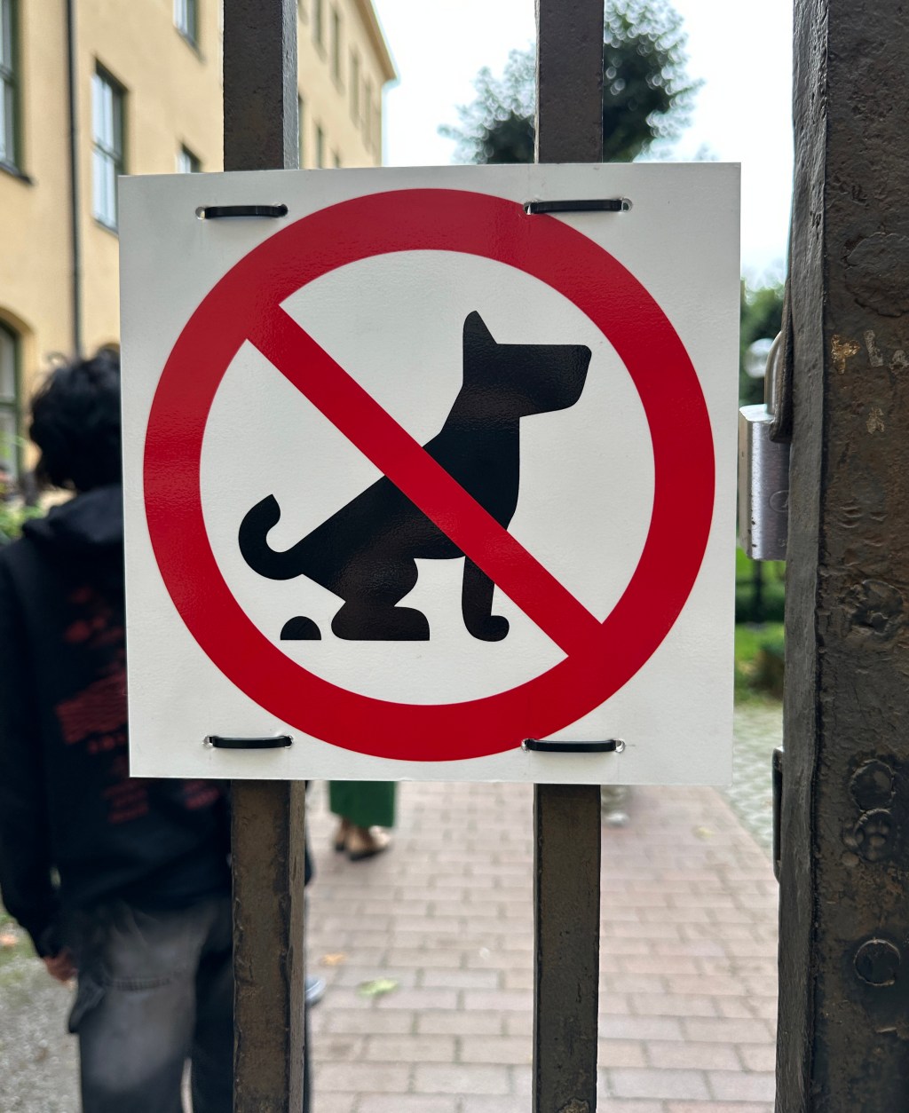 SÍNDROME DO REGRESSO